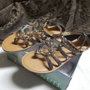 Cute Coconut Sandals